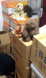 Cinnamon (the bear) and his "moving buddy" Noah wait with others to be put into boxes. I wonder what Denali (beaver) is whispering to his buddy Shou-O!