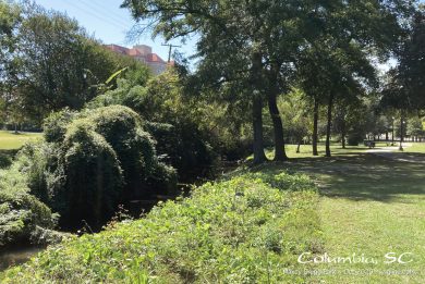 Maxcy Gregg Park